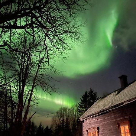 100 Years Old Norwegian Log House In Tromso Βίλα Εξωτερικό φωτογραφία