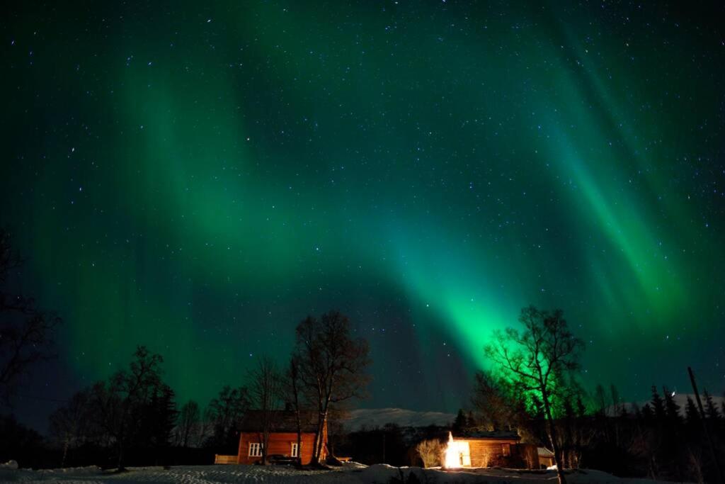 100 Years Old Norwegian Log House In Tromso Βίλα Εξωτερικό φωτογραφία
