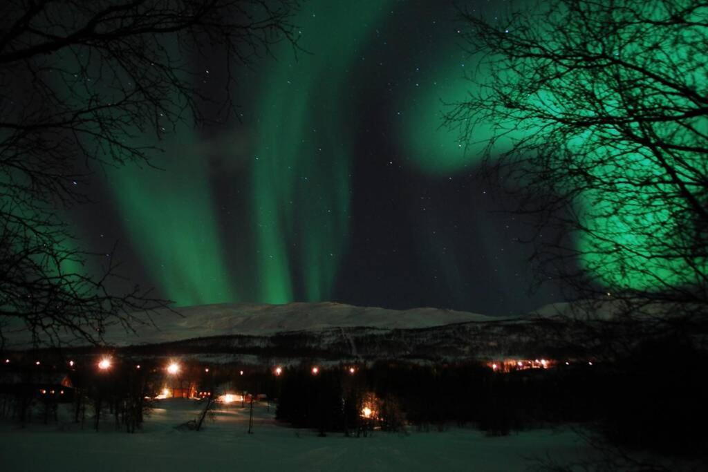 100 Years Old Norwegian Log House In Tromso Βίλα Εξωτερικό φωτογραφία