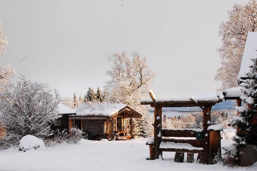 100 Years Old Norwegian Log House In Tromso Βίλα Εξωτερικό φωτογραφία
