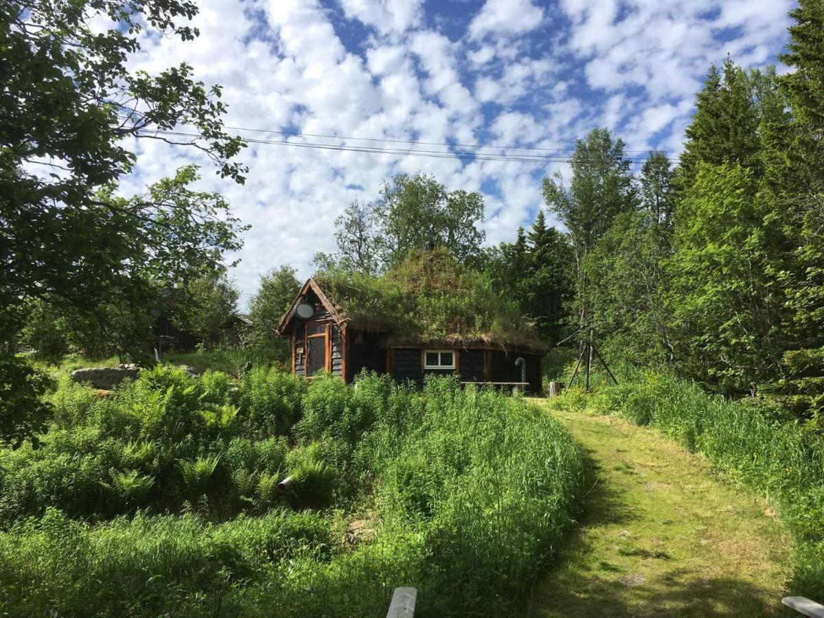 100 Years Old Norwegian Log House In Tromso Βίλα Εξωτερικό φωτογραφία