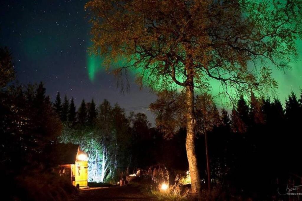100 Years Old Norwegian Log House In Tromso Βίλα Εξωτερικό φωτογραφία