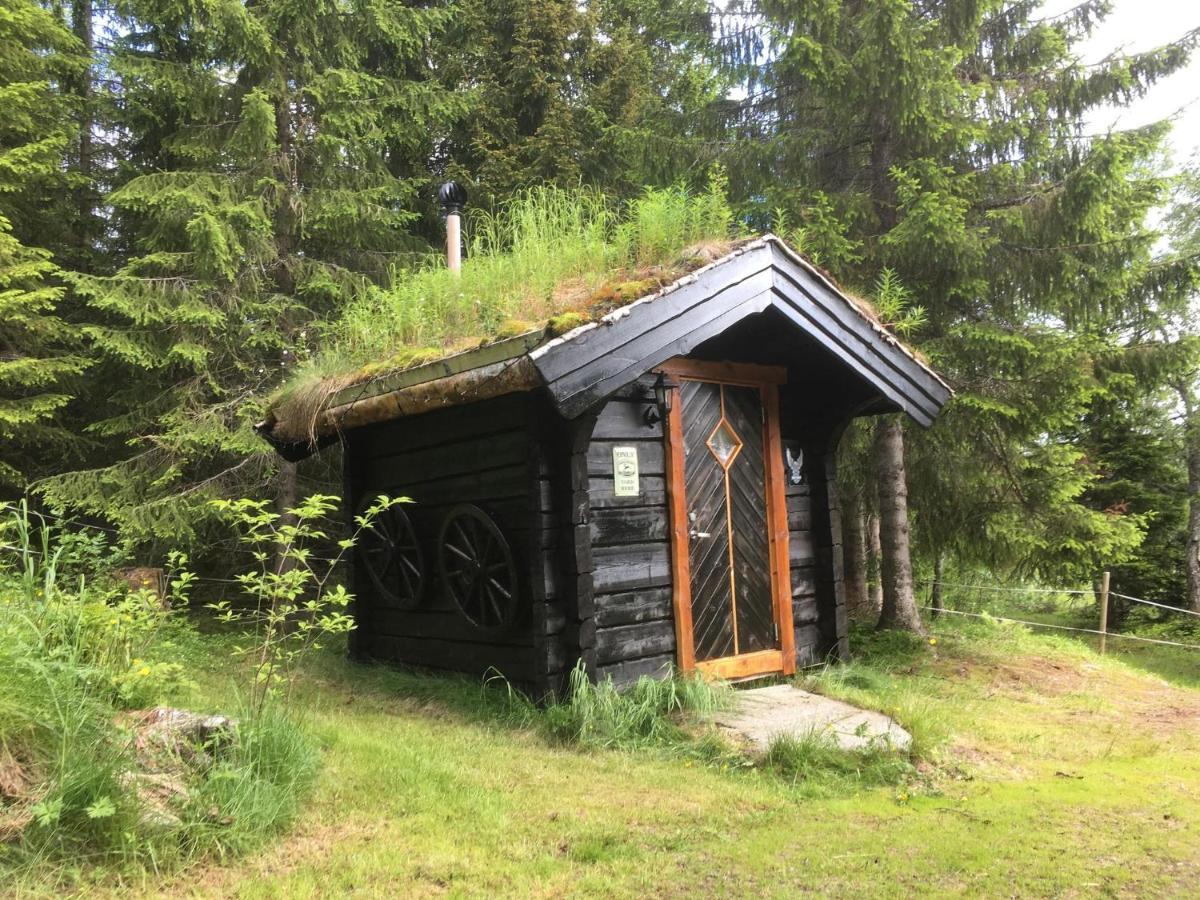 100 Years Old Norwegian Log House In Tromso Βίλα Εξωτερικό φωτογραφία