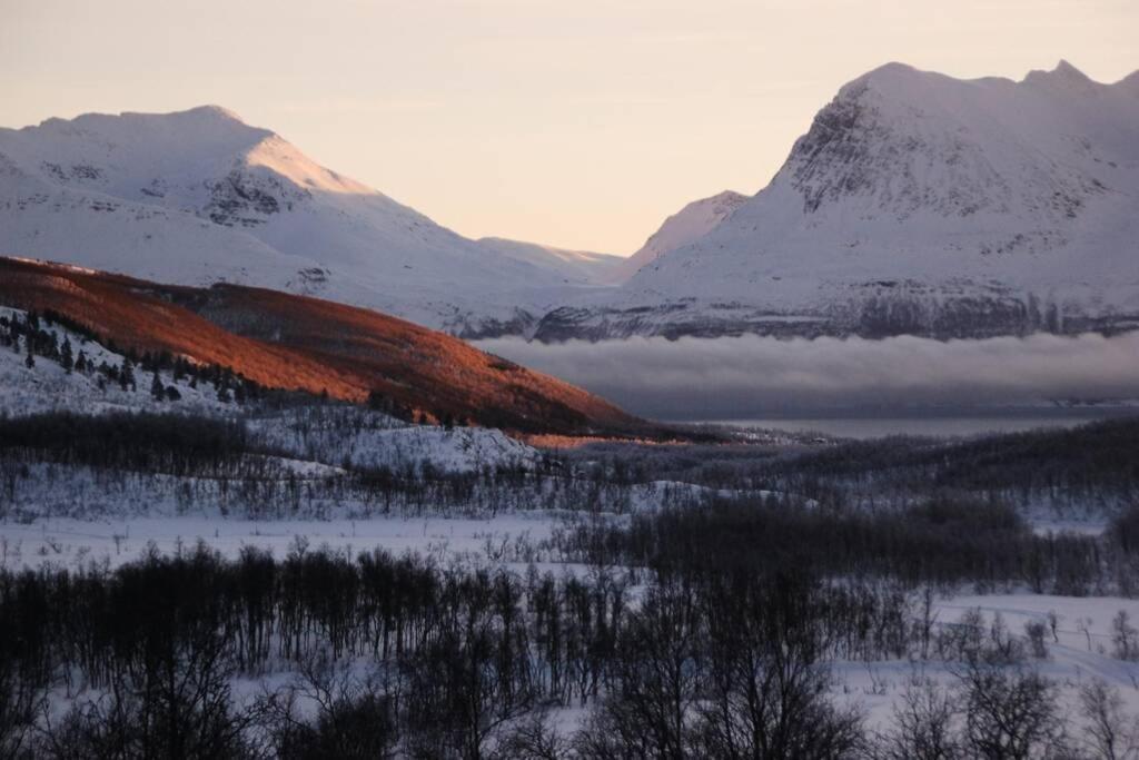 100 Years Old Norwegian Log House In Tromso Βίλα Εξωτερικό φωτογραφία