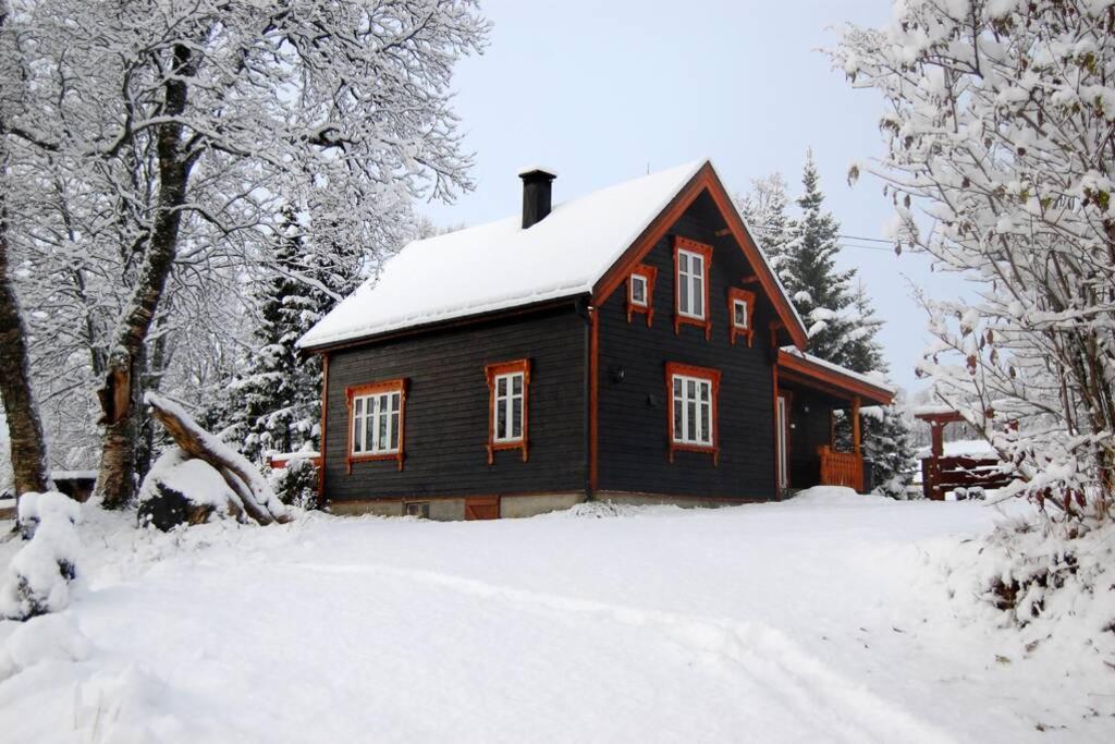 100 Years Old Norwegian Log House In Tromso Βίλα Εξωτερικό φωτογραφία