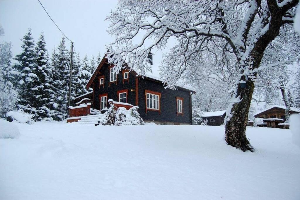 100 Years Old Norwegian Log House In Tromso Βίλα Εξωτερικό φωτογραφία