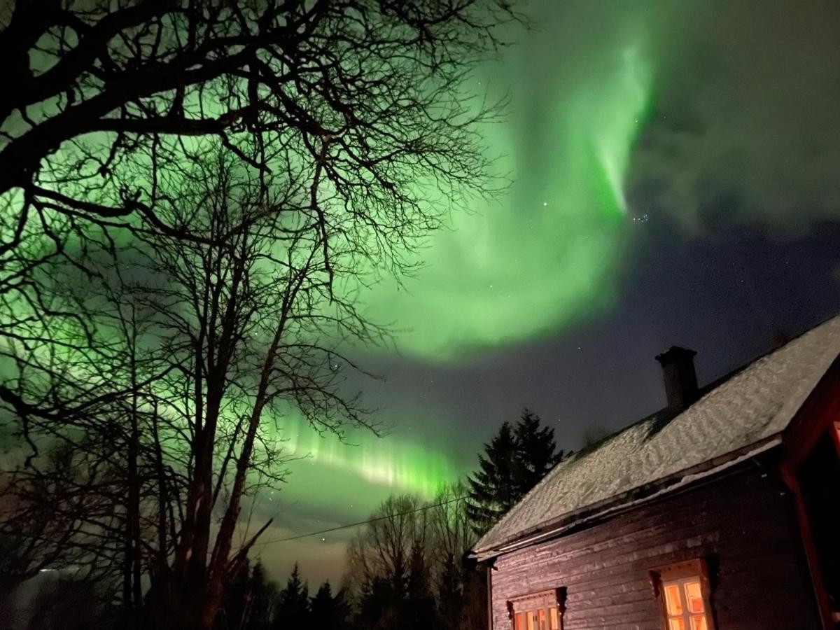100 Years Old Norwegian Log House In Tromso Βίλα Εξωτερικό φωτογραφία
