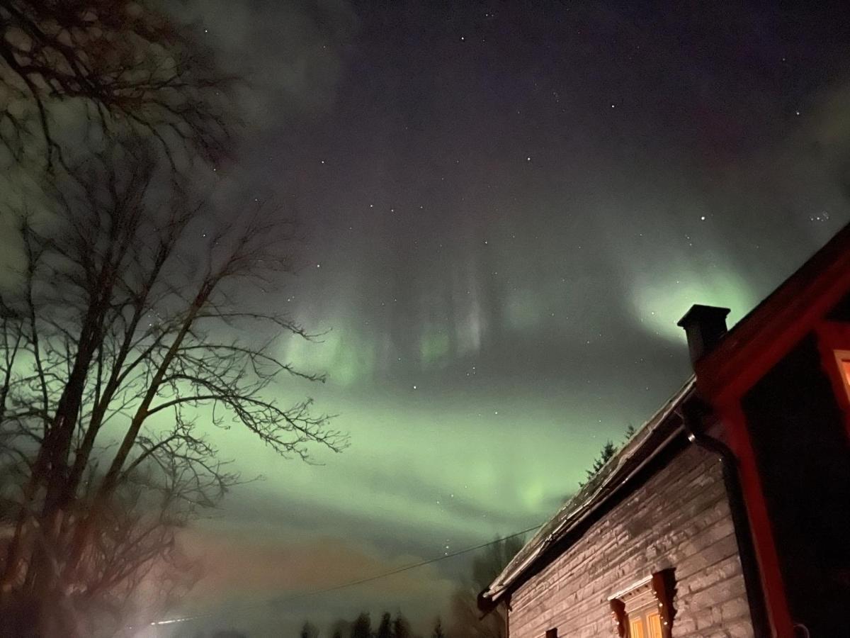 100 Years Old Norwegian Log House In Tromso Βίλα Εξωτερικό φωτογραφία